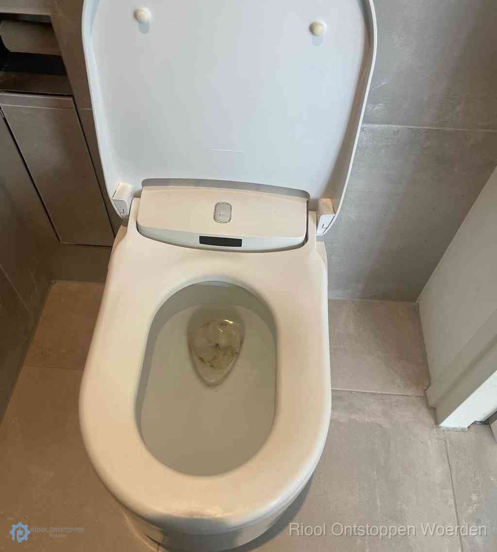 Toilet Ontstoppen Woerden Toilet Ontstoppen Woerden